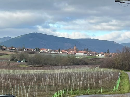 Von Landau nach Knörringen