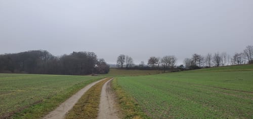 Vom Affinger Schloss zur Salzbergkapelle