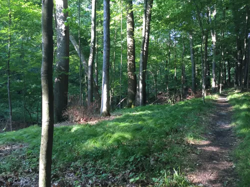 Oak Openings Preserve Metropark