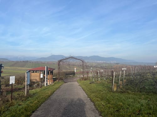 Von Landau nach Ilbesheim