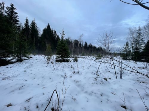 Gaißach: Hochfilzen-Rundweg