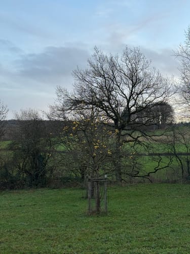 Venntrilogy Etappe 1: Drielandenpunt - Eynatten