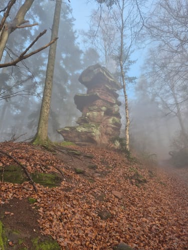 Fleckenstein - Loewenstein - Hohenbourg - Schlossberg