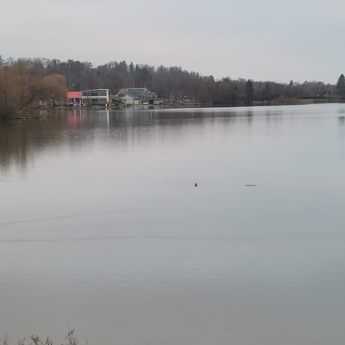 Göttinger Kiessee