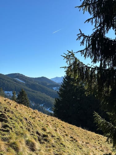 Zum Mittleren und Vorderen Hörnle