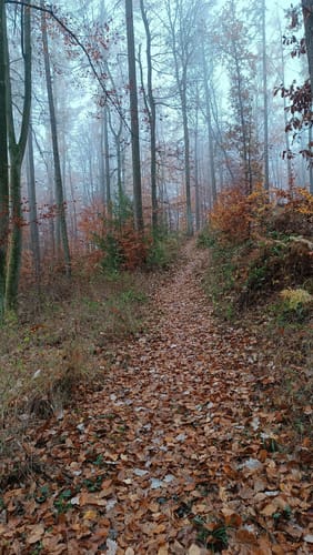 Rundwanderweg R9 Dreiländereck