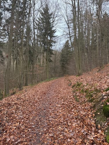 Edersee-Radrundweg (ER)