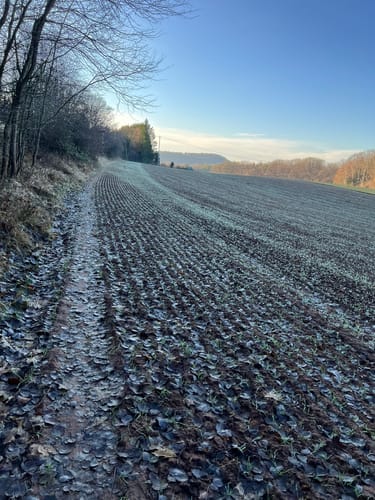 Grosser Hausberg ab Bann