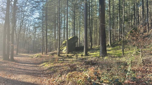Altschloßpfad (Premiumwanderweg)