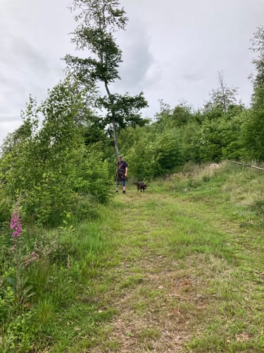 Rundweg über den Schnippkopf