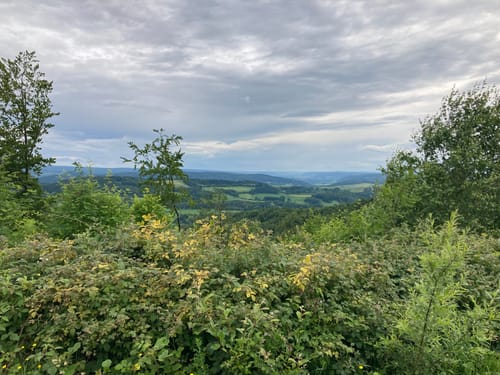 Rundweg über den Schnippkopf