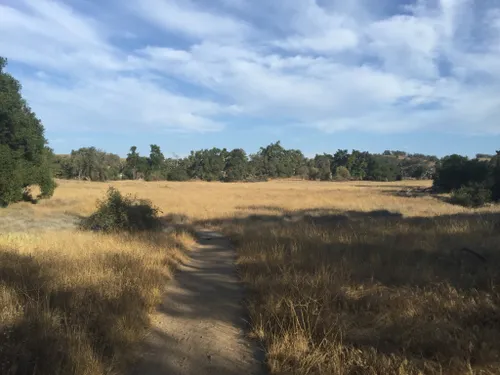 are dogs allowed at santa rosa plateau