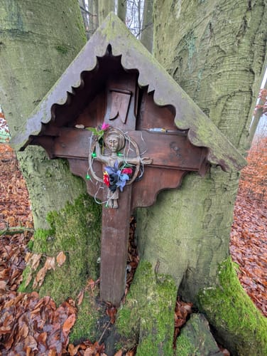 Waldschluchtenweg (Traumpfad)
