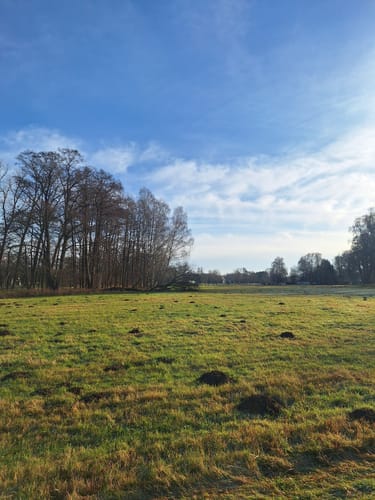 Burg Runde im Spreewald