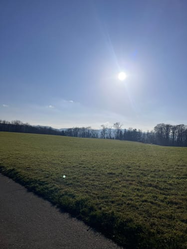 Rundwanderweg Gorxheimertal 7: Schütze-Kreuz-Weg