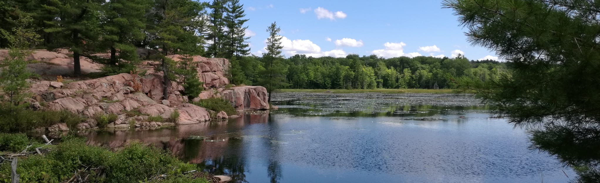 Cranberry Bog Trail 398 Reviews, Map Ontario, Canada AllTrails
