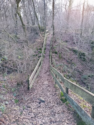 Steinhauerrunde (Bergische Streifzüge 8)