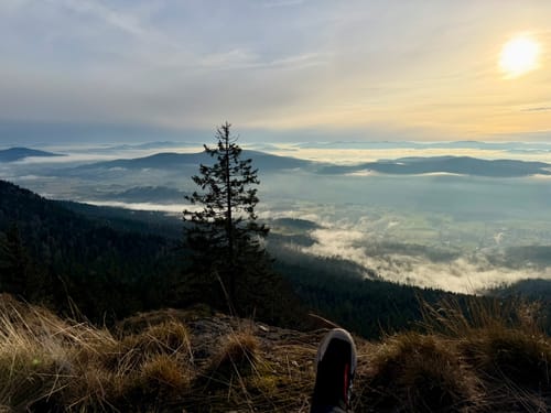 Goldsteig Nordroute Etappe 12: Schönbuchen nach Eck
