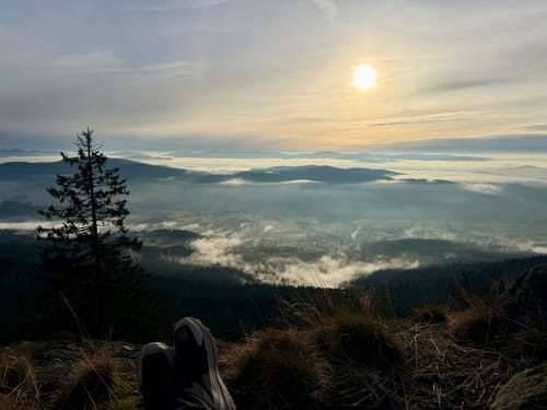 Goldsteig Nordroute Etappe 12: Schönbuchen nach Eck