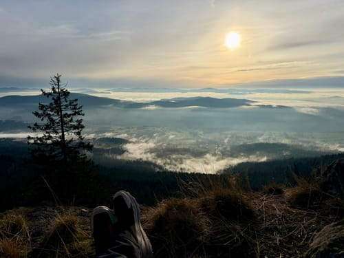 Goldsteig Nordroute Etappe 12: Schönbuchen nach Eck