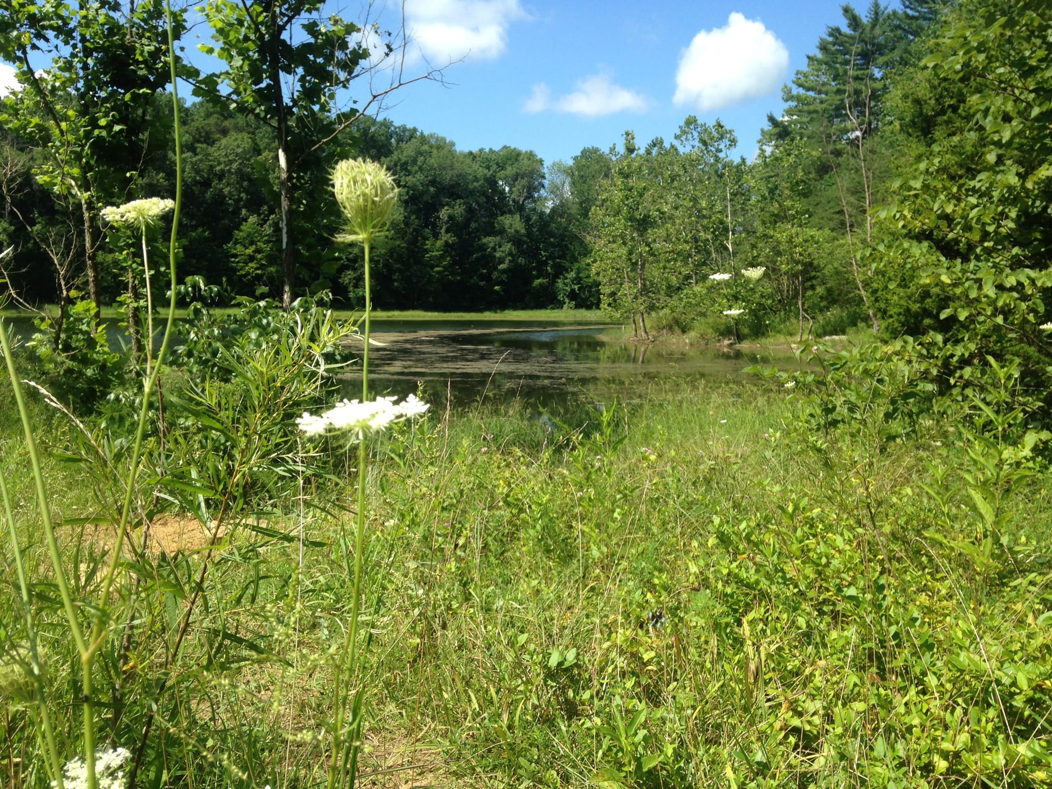 Photos of Wapehani Mountain Bike Park Indiana AllTrails