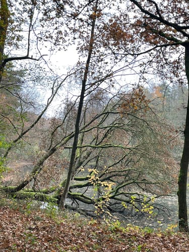 Hünenweg Etappe 9: Haselünne - Meppen