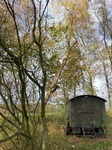 Hünenweg Etappe 9: Haselünne - Meppen