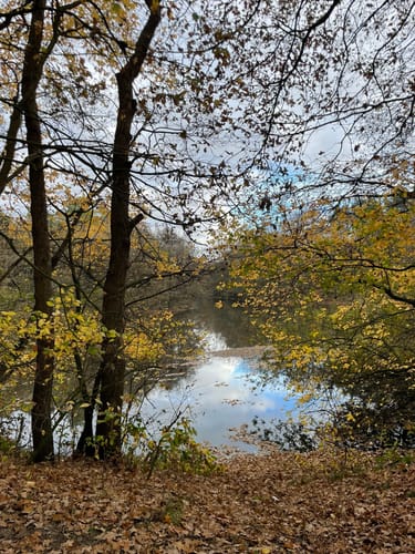 Hünenweg Etappe 9: Haselünne - Meppen