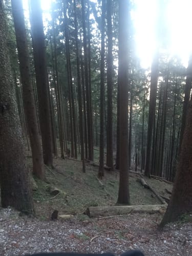 Stallauer Kopf - Zwiesel - Blomberghaus - Heiglkopf