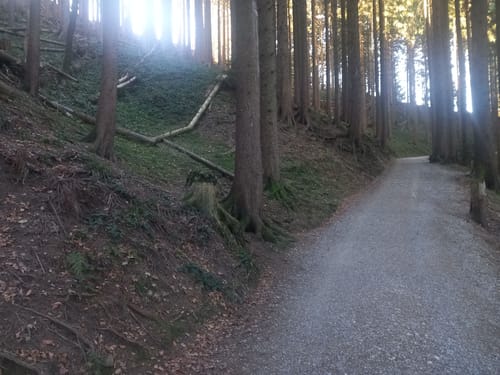 Stallauer Kopf - Zwiesel - Blomberghaus - Heiglkopf