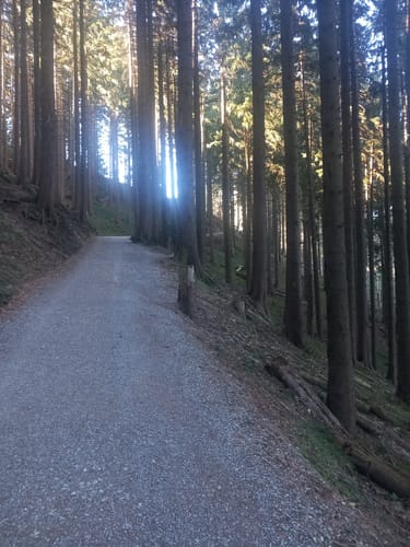 Stallauer Kopf - Zwiesel - Blomberghaus - Heiglkopf