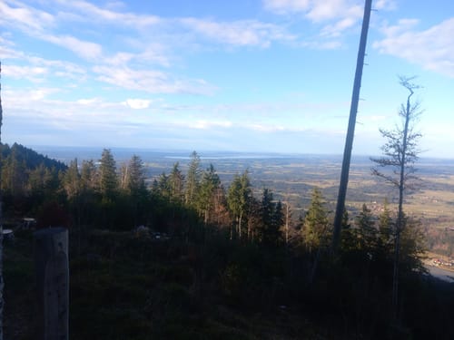 Stallauer Kopf - Zwiesel - Blomberghaus - Heiglkopf