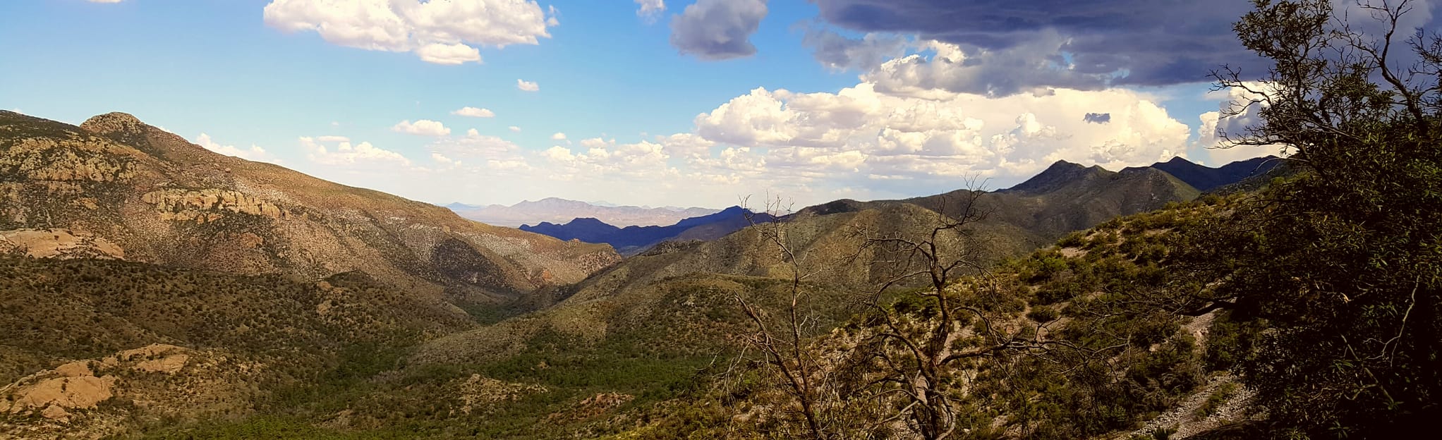 Bonita Canyon Scenic Drive, Arizona 116 Reviews, Map AllTrails