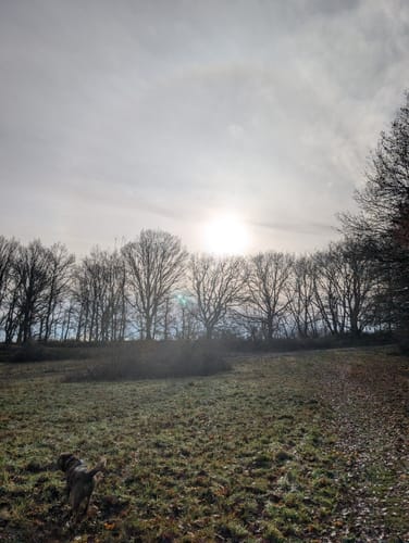 Schauinslandweg (Premiumwanderweg)