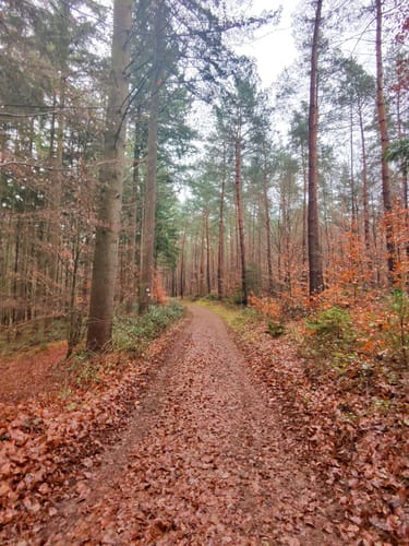 Durch den Wurzelwooggraben und über den Vogelhammerkopf