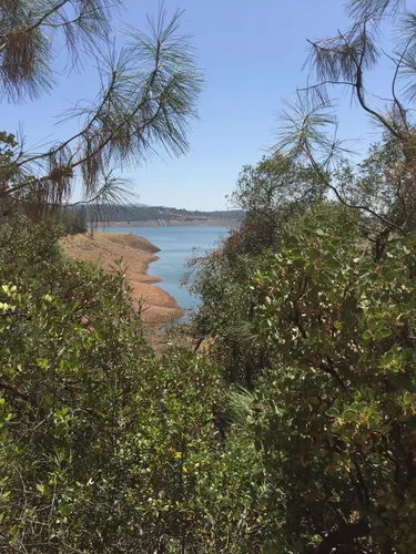 10 Best Hikes and Trails in Lake Oroville State Recreation Area AllTrails