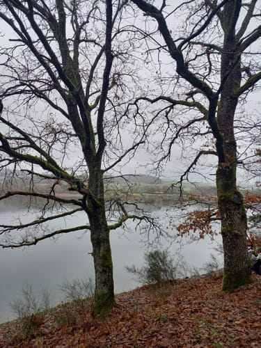 Aartalsee Rundweg
