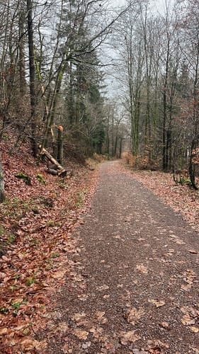 Hunnenringweg
