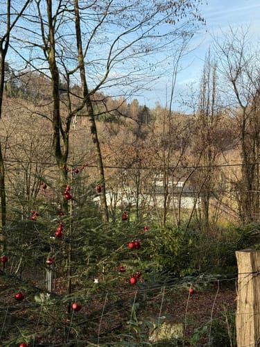 Von der Sankt Sebastians Kirche auf den Leienberg