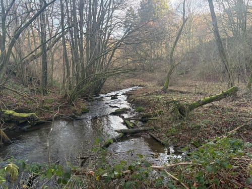 Einruhr, Dedenborn und Weihrauchsberg