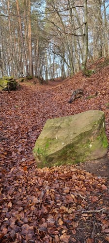 Merzalben - Weißenberg - Hermersbergerhof