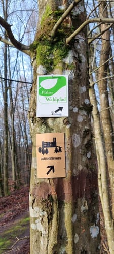Merzalben - Weißenberg - Hermersbergerhof