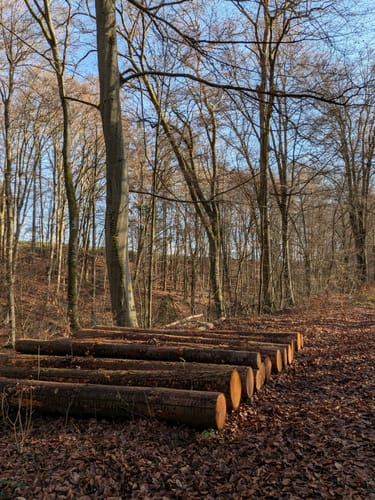 Um den Hirschberg