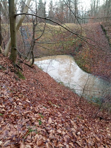 Um den Gerlinger Kopf und durch den Rotwildpark