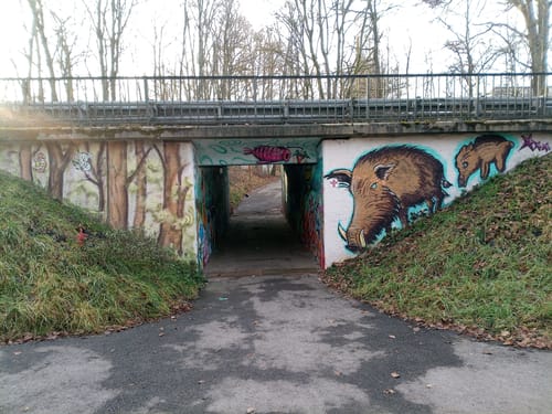 Um den Gerlinger Kopf und durch den Rotwildpark