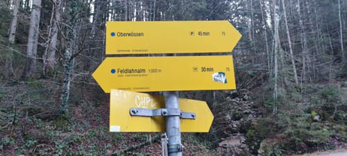 Von Oberwössen zur Feldlahn-Alm