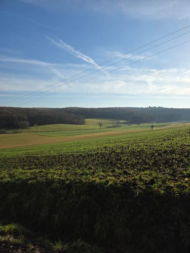 Schweinfurt - Hambach - Zell