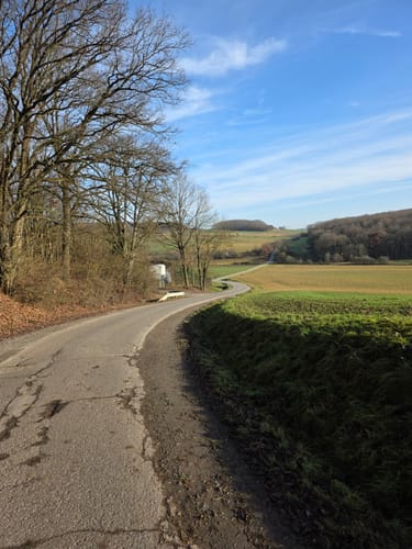 Schweinfurt - Hambach - Zell
