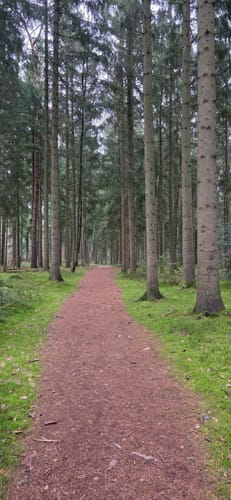 Schmidts Kiefern und Heidhofer Teiche