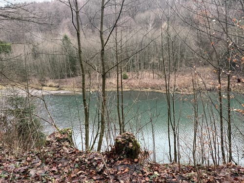Winterberger Schluchten- und Brückenpfad